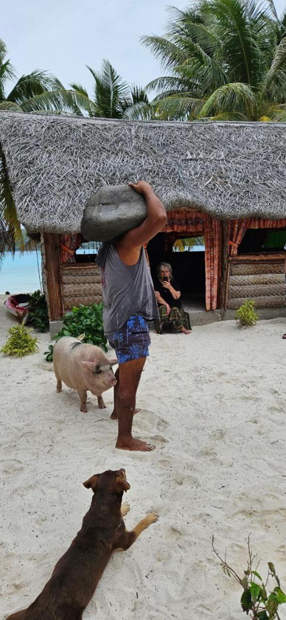 Poemanahere Island Camping A Maupiti Te-Fare-Arii Exterior photo