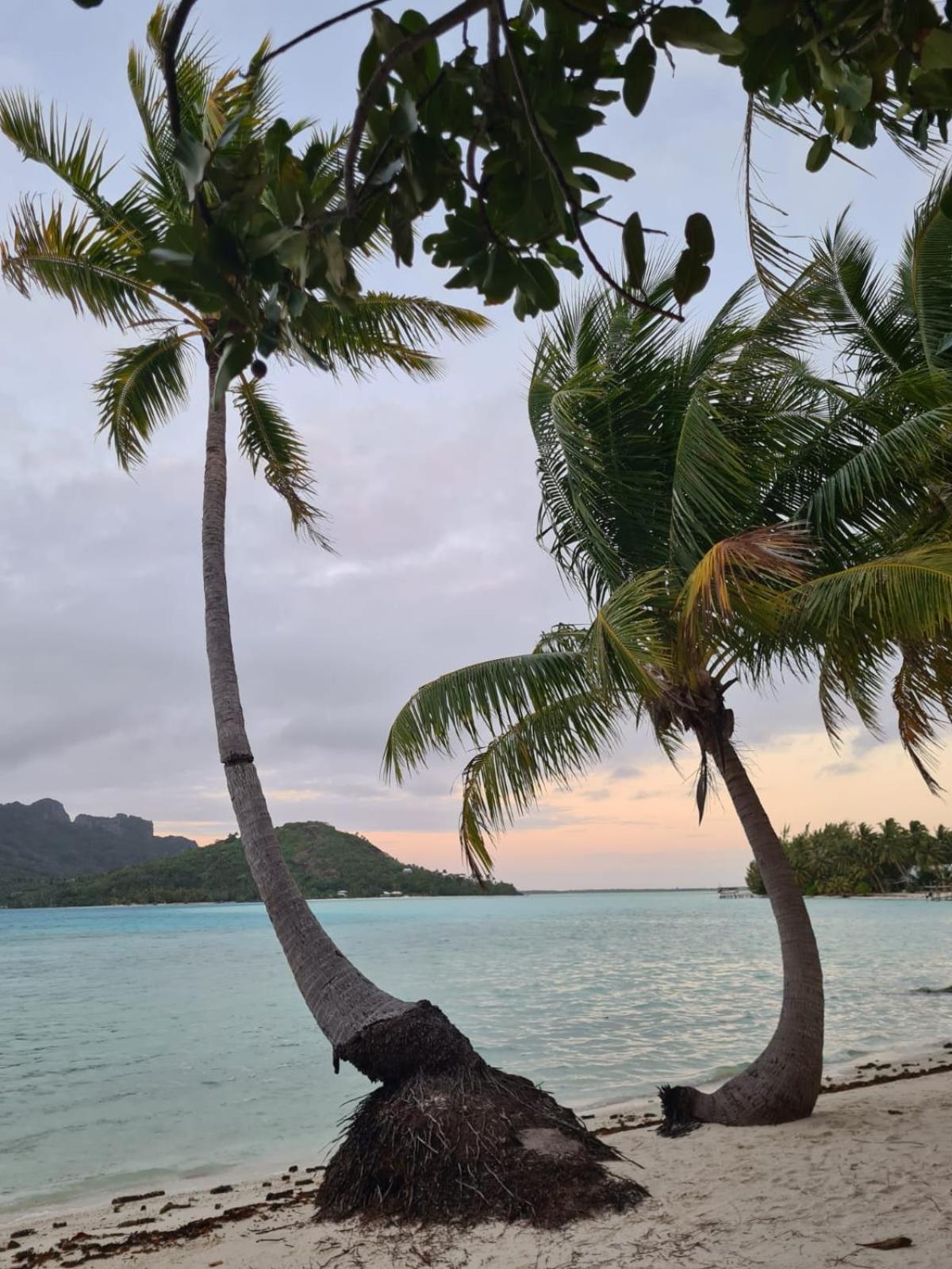Poemanahere Island Camping A Maupiti Te-Fare-Arii Exterior photo