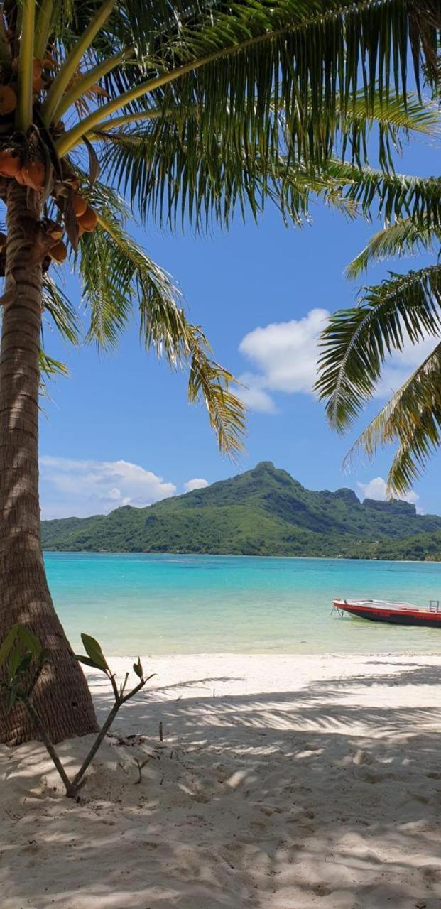 Poemanahere Island Camping A Maupiti Te-Fare-Arii Exterior photo